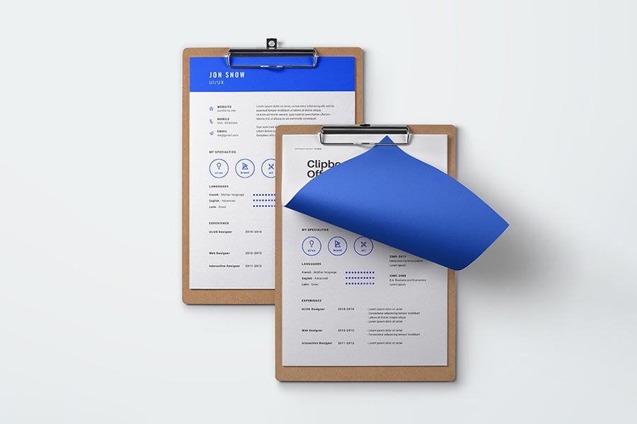 Blue Resume