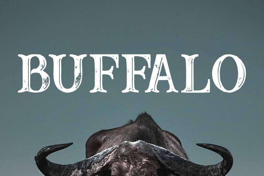 Buffalo Font