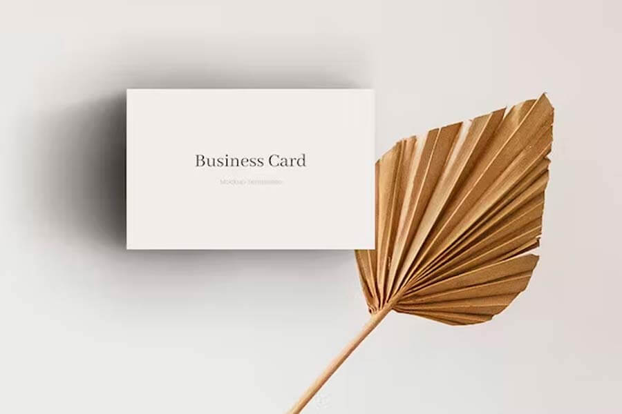 Business Card Mockup