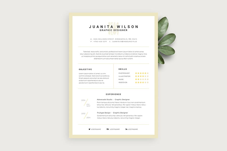 Clean Resume Template PSD