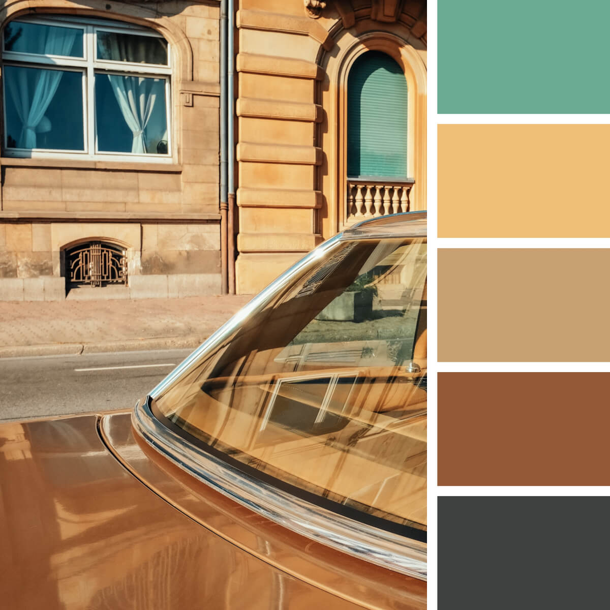 Earthly Color Palettes