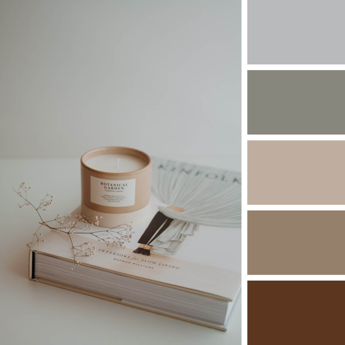 Earthly Color Palettes