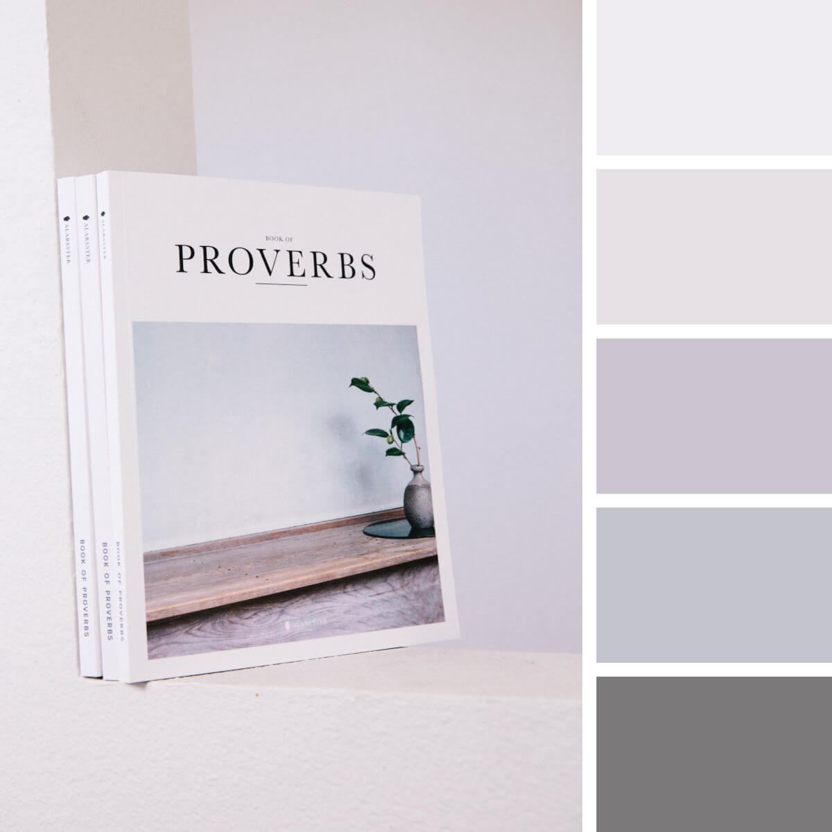 Gray & White Color Palettes