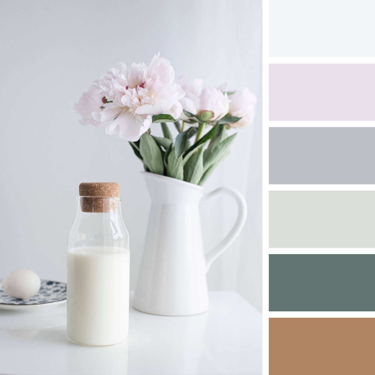 Gray & White Color Palettes