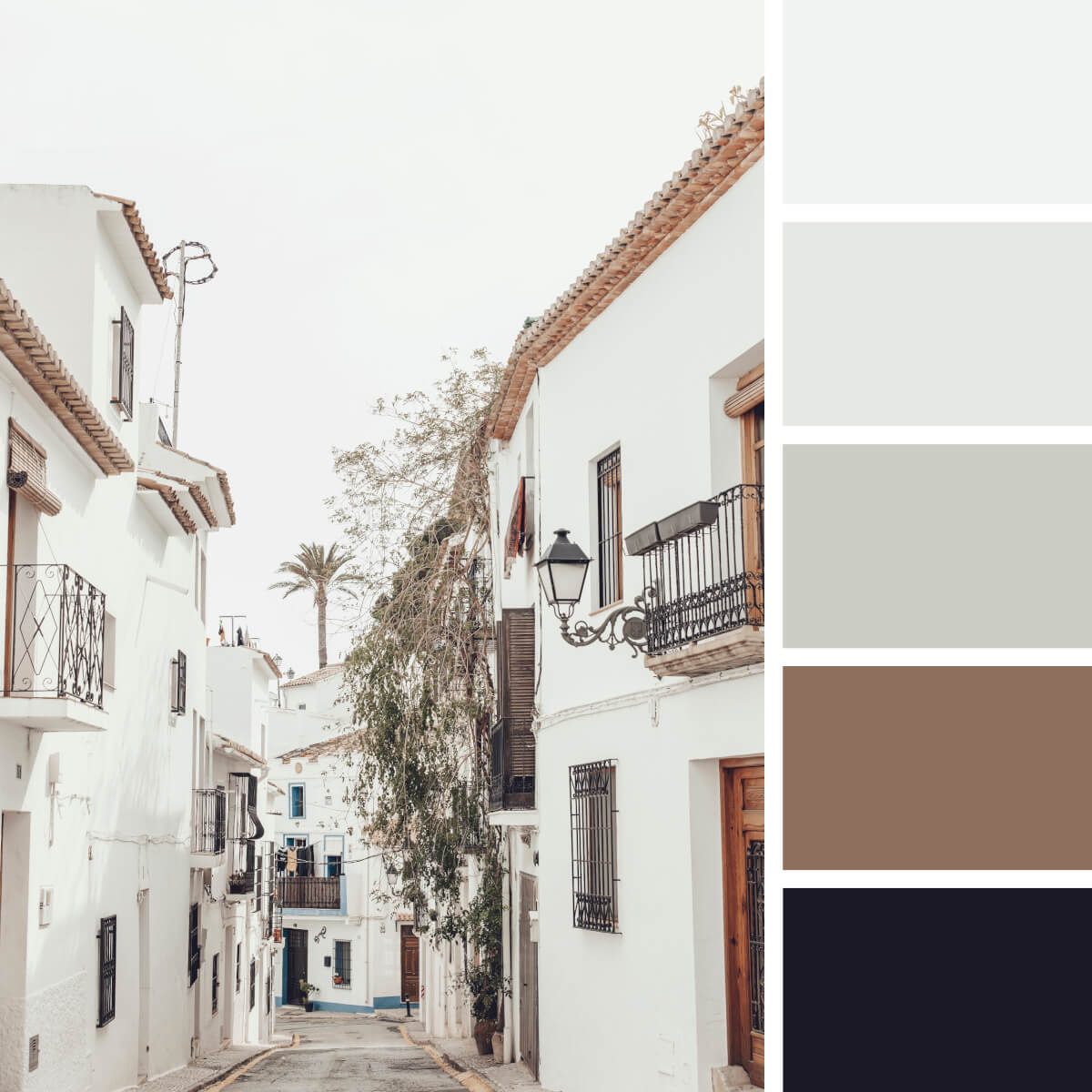 Gray & White Color Palettes