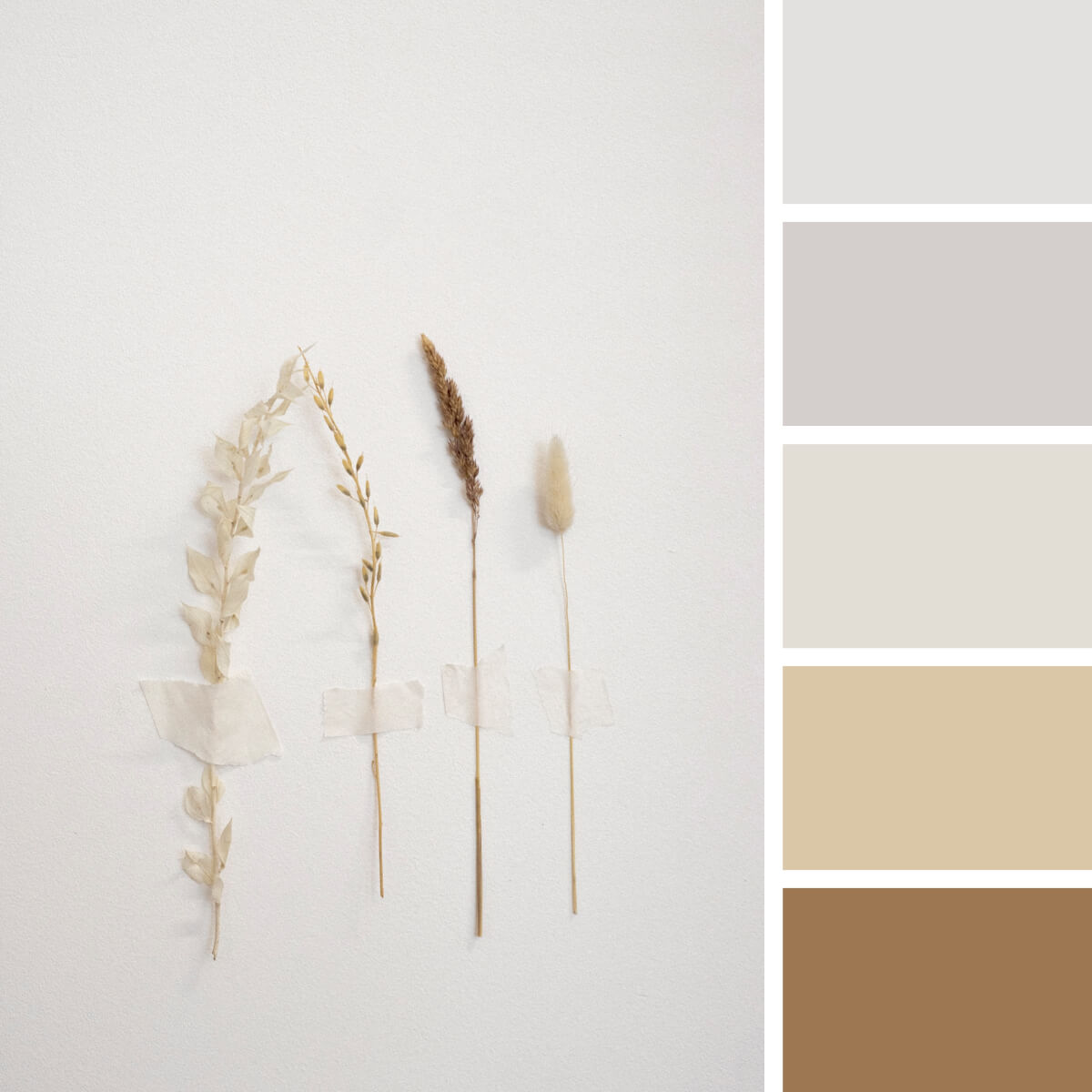 Gray & White Color Palettes