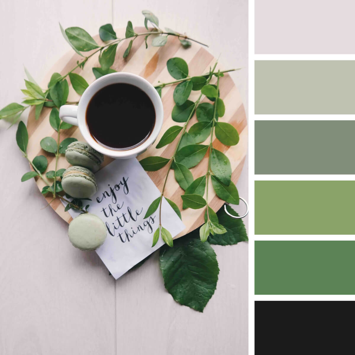 Green Color Palettes