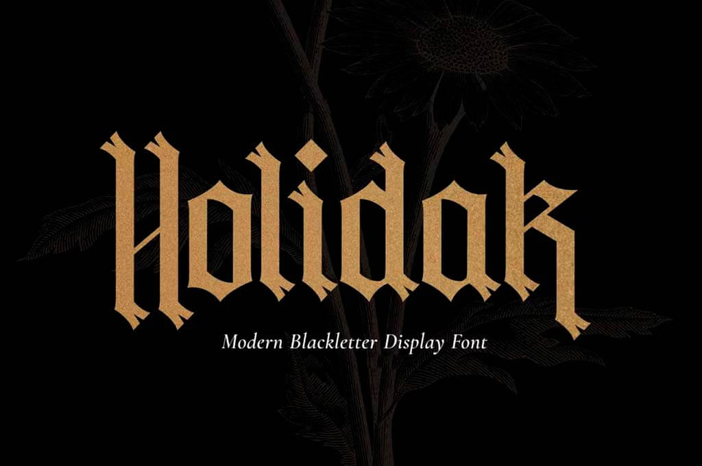 Holidak