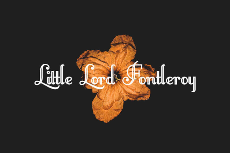 Little Lord Fontleroy