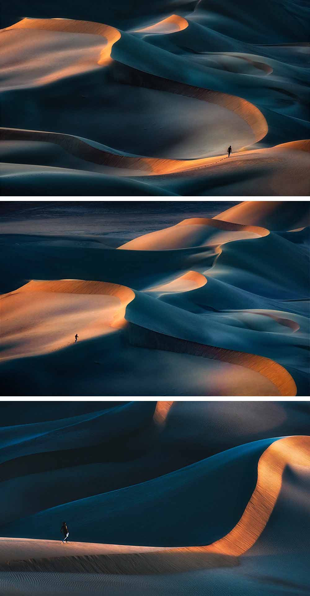 MAGNIFICENCE OF DESERT