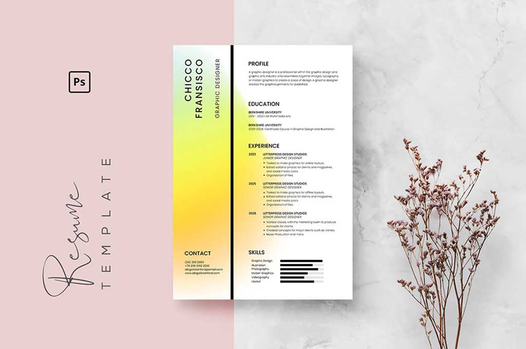 Professional CV Resume Template