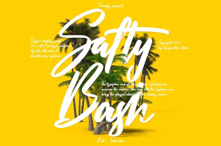 Salty Bash Handwriting Script