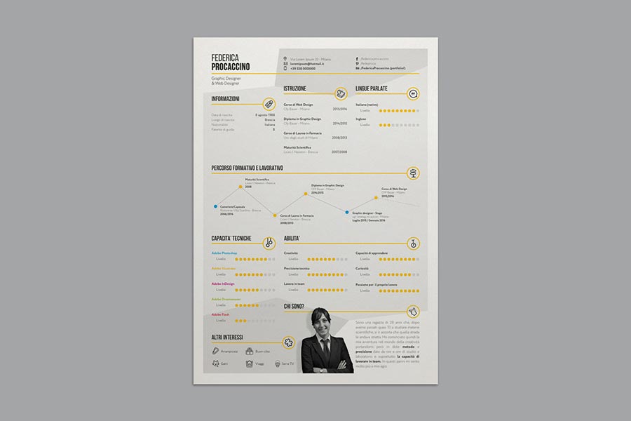 Stylish Infographic Resume